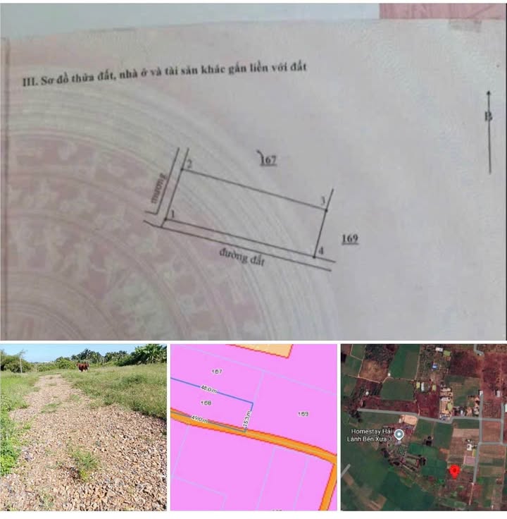 Đất thổ cư 200m² + 576m² đất cây trồng tại Hàm Chính - Sổ hồng chính chủ, giá 450 triệu!