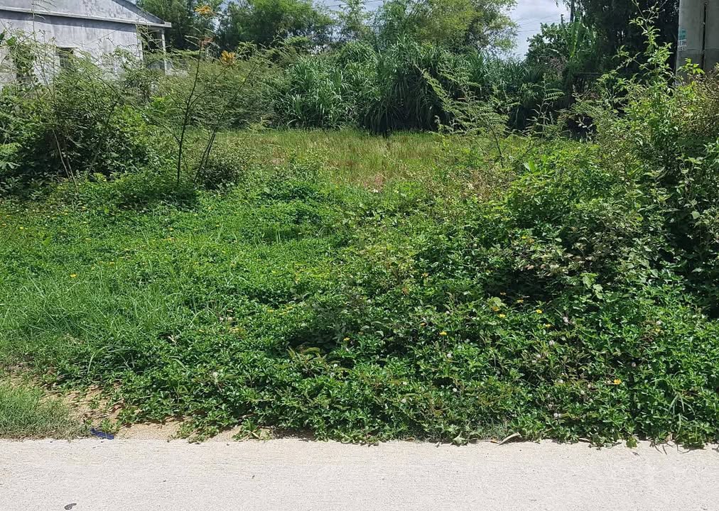 Đất nền Khu dân cư Sư Lỗ, Phú Hồ 150m² giá 1.3 tỷ - Cơ hội đầu tư hấp dẫn!