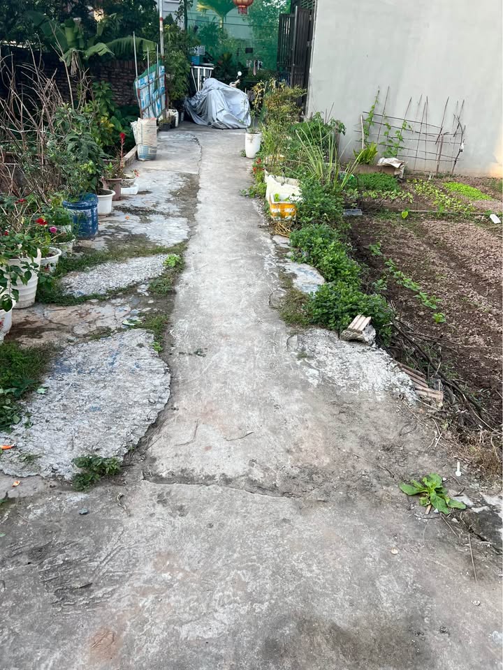 Đất Đặng Xá Gia Lâm 40m² giá 2.65 tỷ - Cơ hội đầu tư không thể bỏ lỡ!