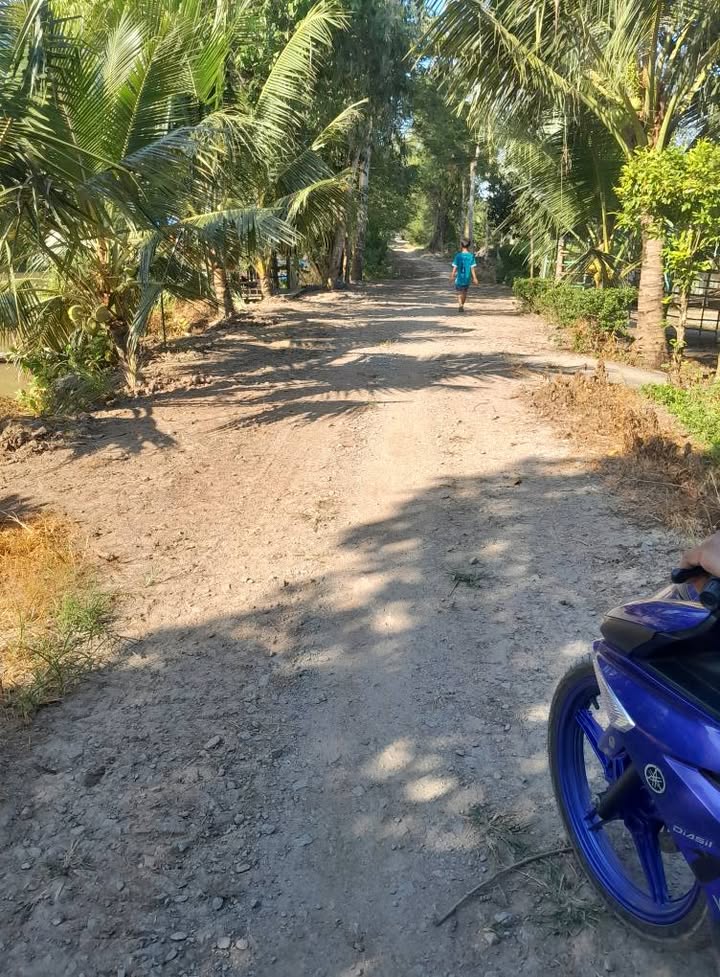 Đất nông nghiệp 60.000m² xã Tây Phú, Thoại Sơn - Cơ hội đầu tư tuyệt vời!