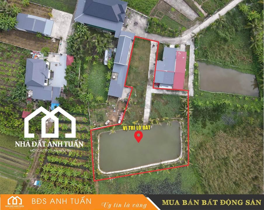 Đất vườn 1747m² Tân Phong, Kiến Thụy - Giá đầu tư chỉ 2 tỷ!