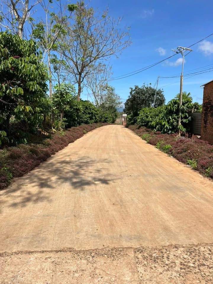 Đất nền Đạ Đờn Lâm Hà 3 sào 6 giá 1.3 tỷ - Đầu tư sinh lời ngay!