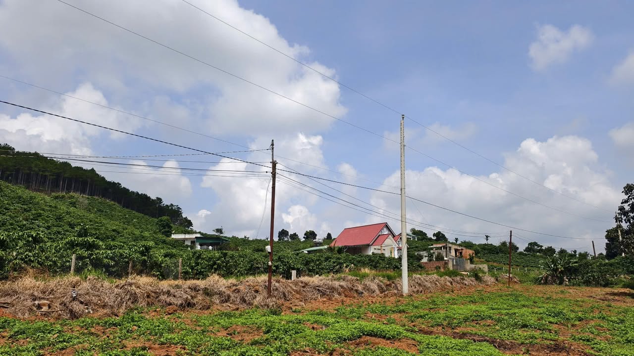 Đất thổ cư 1.2 sào tại Nam Hà, Lâm Hà giá chỉ 739 triệu - Cơ hội đầu tư hấp dẫn!