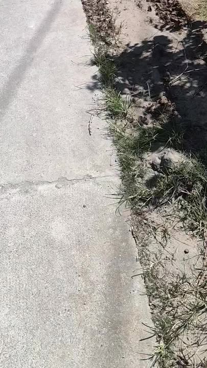 Đất nền Đạ Đờn Lâm Hà 1000m² giá chỉ 1.2 tỷ - Sổ đỏ chính chủ!