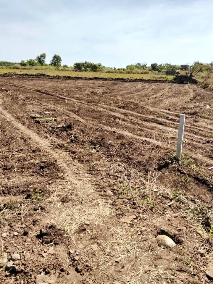 Đất nền 600m² Long Tân, Đất Đỏ chỉ 420 triệu - Cơ hội đầu tư tuyệt vời!