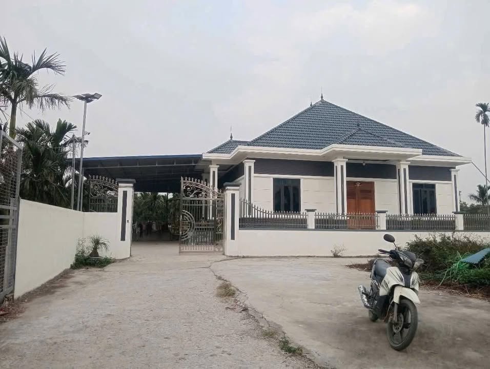 Đất nền tại Phường Lê Ích Mộc, Thủy Nguyên, Hải Phòng 64m² chỉ 500 triệu - Đầu tư sinh lời ngay!