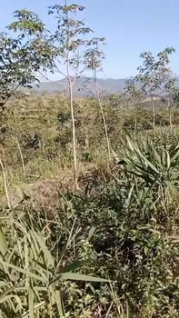 Đất nền 18m² thôn Kon Jong, xã Ngọk Réo, giá 800 triệu - Đầu tư sinh lời ngay!