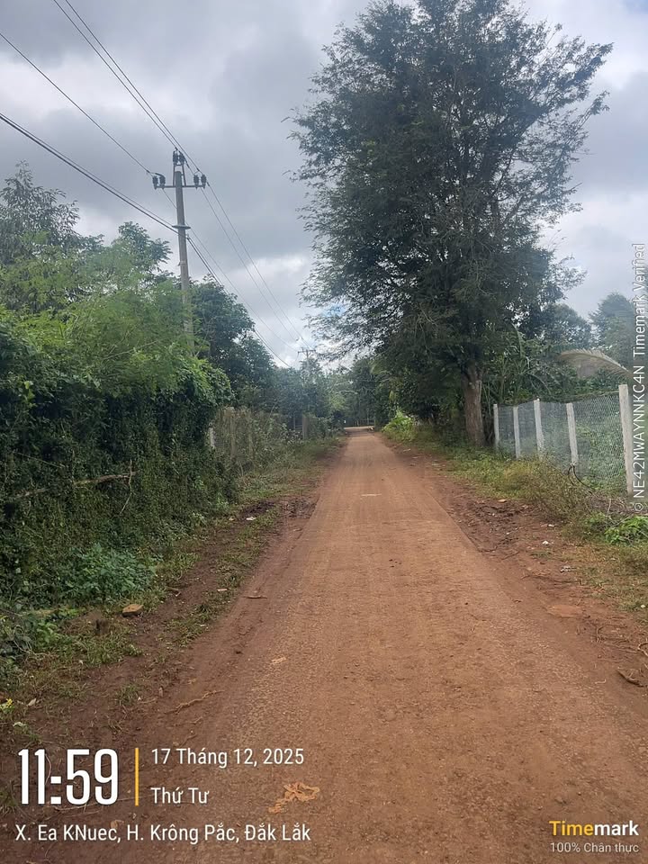 Đất thổ cư Ea Knuếc, Krông Pắc 275m² giá 750 triệu - Đầu tư sinh lời bền vững!