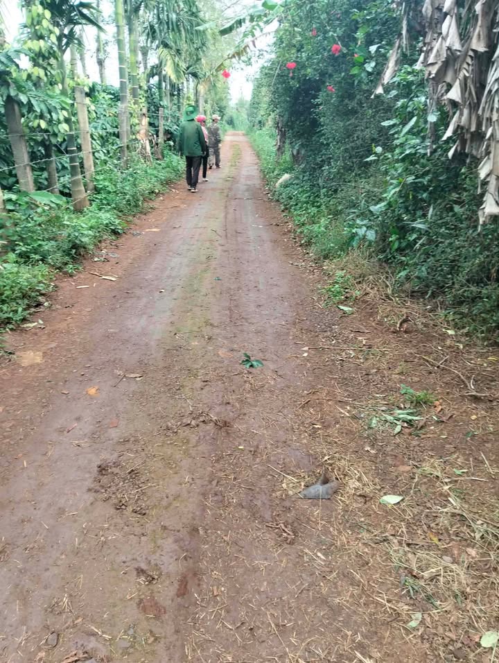 Farm 1ha tại Ea Ngai, Krông Búk - Giá mềm chính chủ, ô tô vào tận nơi!