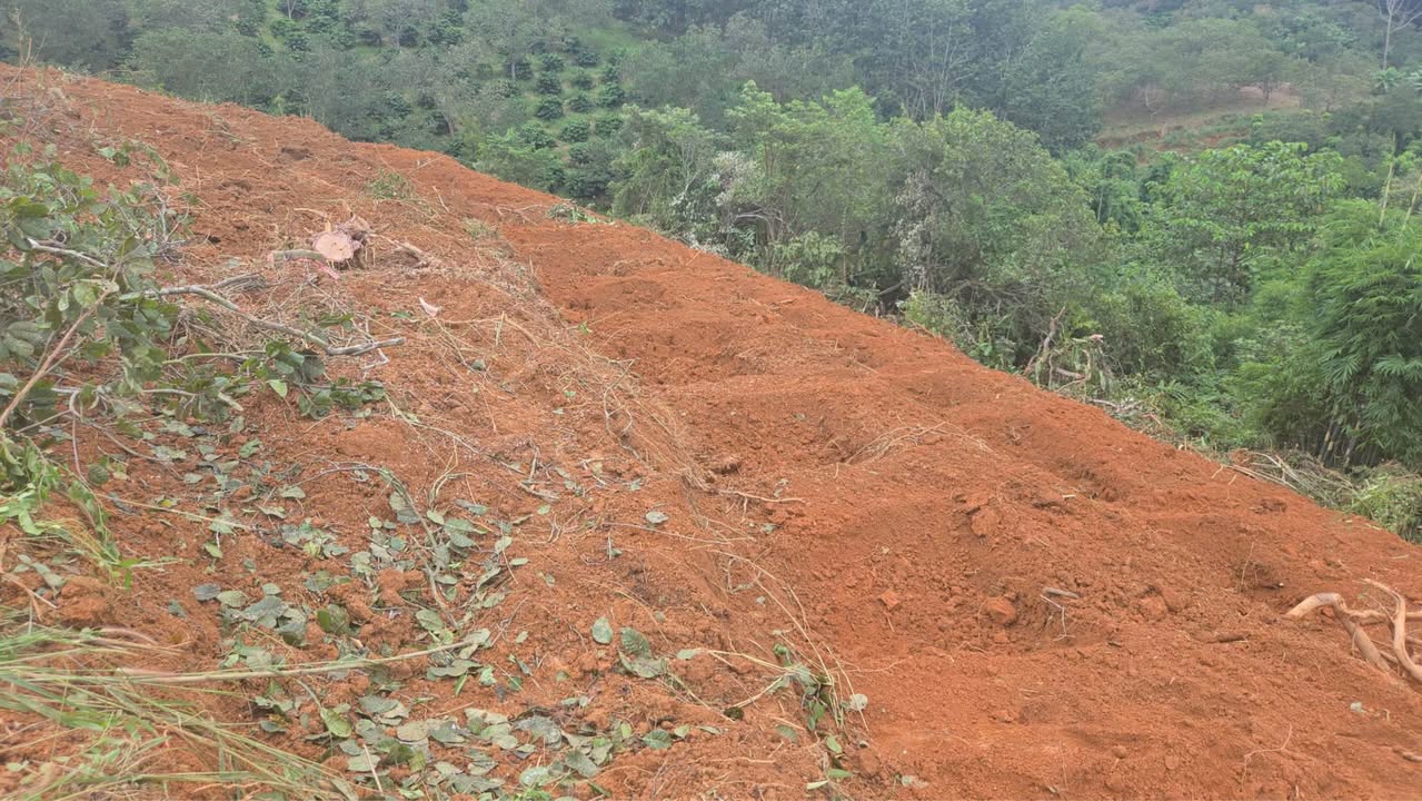 Đất nền Đắk Gằn 8000m² giá 1.2 tỷ - Vị trí đẹp, tiềm năng phát triển