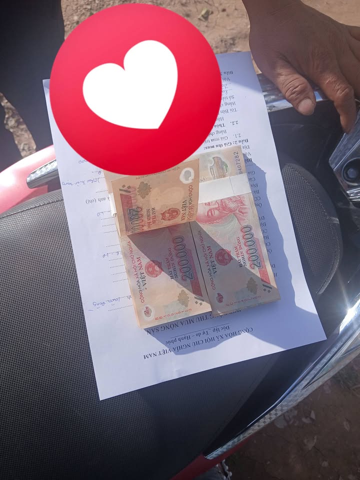 Đất nền đầu tư tại Phi Liêng, Đam Rông, Lâm Đồng - Diện tích 7000m² chỉ 720 triệu!