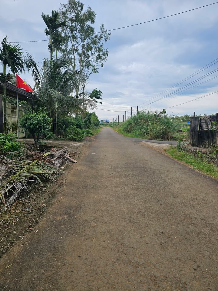 Đất thổ cư Bảo Lộc 960m² giá 2.8 tỷ - Sổ đỏ chính chủ, thương lượng tốt!