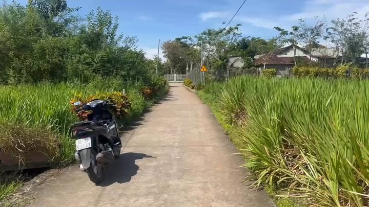 Đất nền Phú Hòa, Đồng Nai 120m² giá 490 triệu - Đầu tư sinh lời ngay!