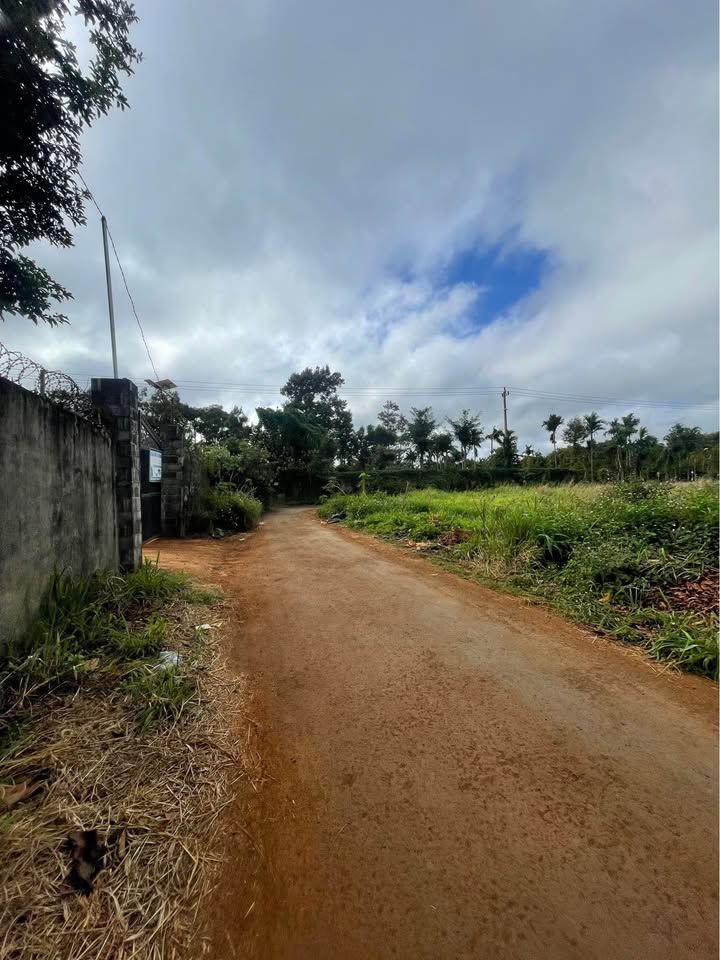 Đất mặt tiền chợ Hòa Thắng, Tân Lập, 120m² giá 1.65 tỷ - Cơ hội đầu tư tuyệt vời!