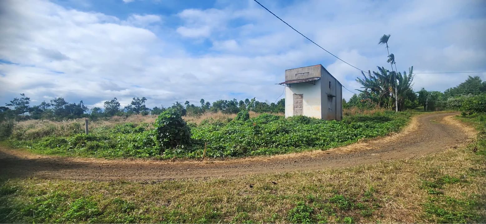 Đất nền góc 2 mặt đường Tân Lập BMT 973m² giá 999 triệu - Lô hiếm khó tìm!