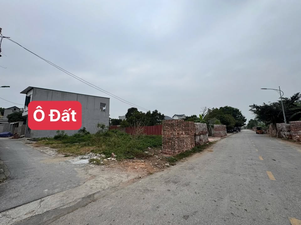 Đất Đồng Tâm Vĩnh Yên 66,7m² giá 1.55 tỷ - Đầu tư sinh lời lý tưởng!