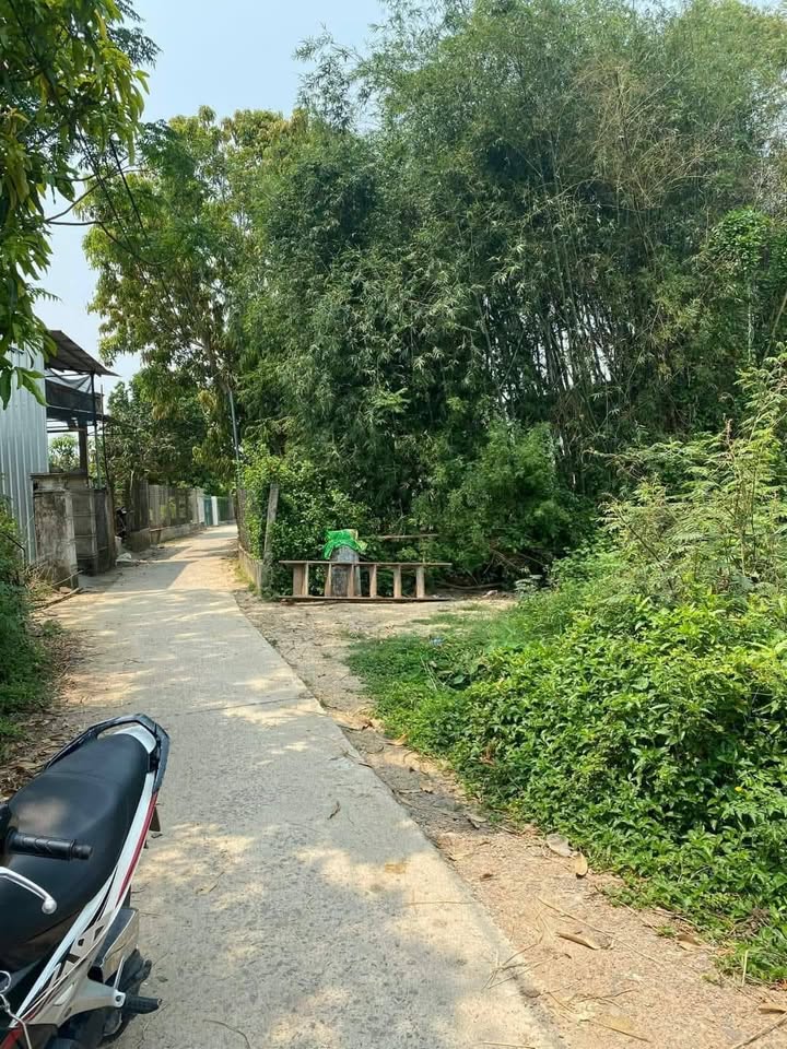 Đất nền Phước Thắng, Tuy Phước 103m² giá thỏa thuận - Cơ hội đầu tư hấp dẫn!