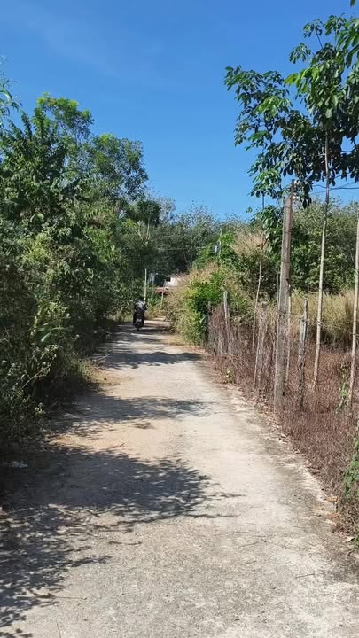 Đất nền 3600m² tại Minh Đức, Hớn Quản - Giá chỉ 500 triệu - Đầu tư sinh lời tuyệt vời!