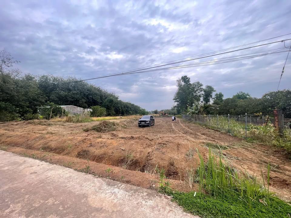 Đất thổ cư 300m² ấp 5 Tân Hưng, Đồng Phú - Sổ hồng chính chủ, giá chỉ 420 triệu!