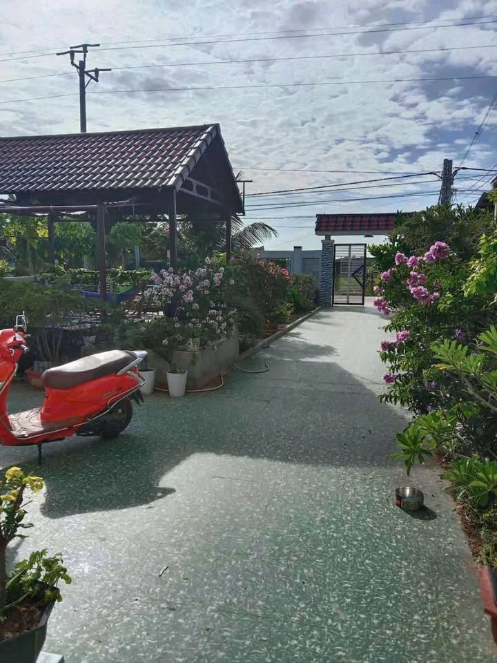 Biệt thự vườn mini Phước Dinh 1500m² giá 1.69 tỷ - Cơ hội đầu tư tuyệt vời!