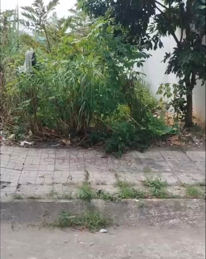 Đất nền Đức Hòa Long An 76m² giá 1.3 tỷ - Cơ hội đầu tư tuyệt vời!