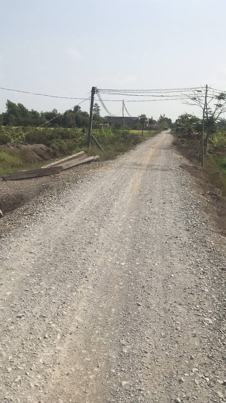 Đất thổ cư và đất lúa 4706m² tại Tân Đông, Thạnh Hóa - Giá 2.7 tỷ - Đường xe tải tới nơi!