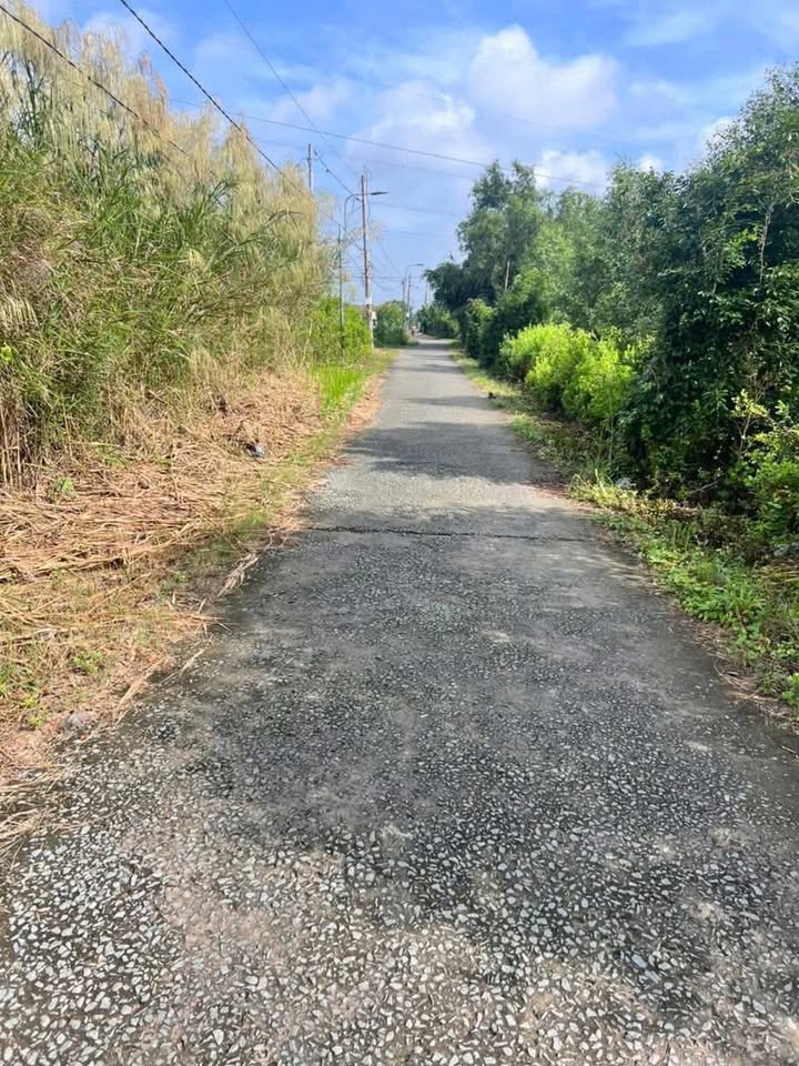 Đất thổ cư Phước Đông, Cần Đước 181m² giá 740 triệu - Đầu tư sinh lời ngay!