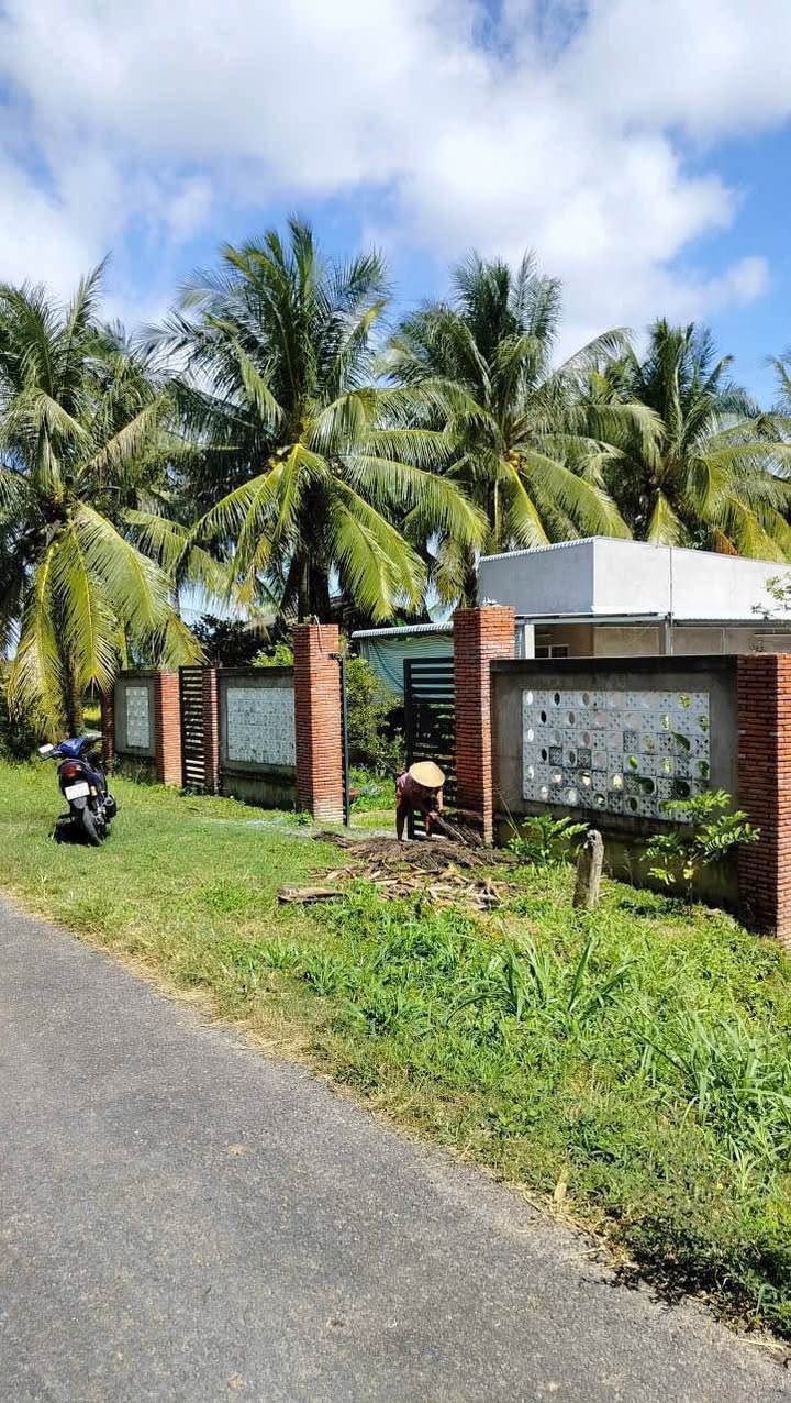 Đất vườn dừa 13.277m² tại Đa Lộc, Châu Thành - Giá chỉ 230 triệu!