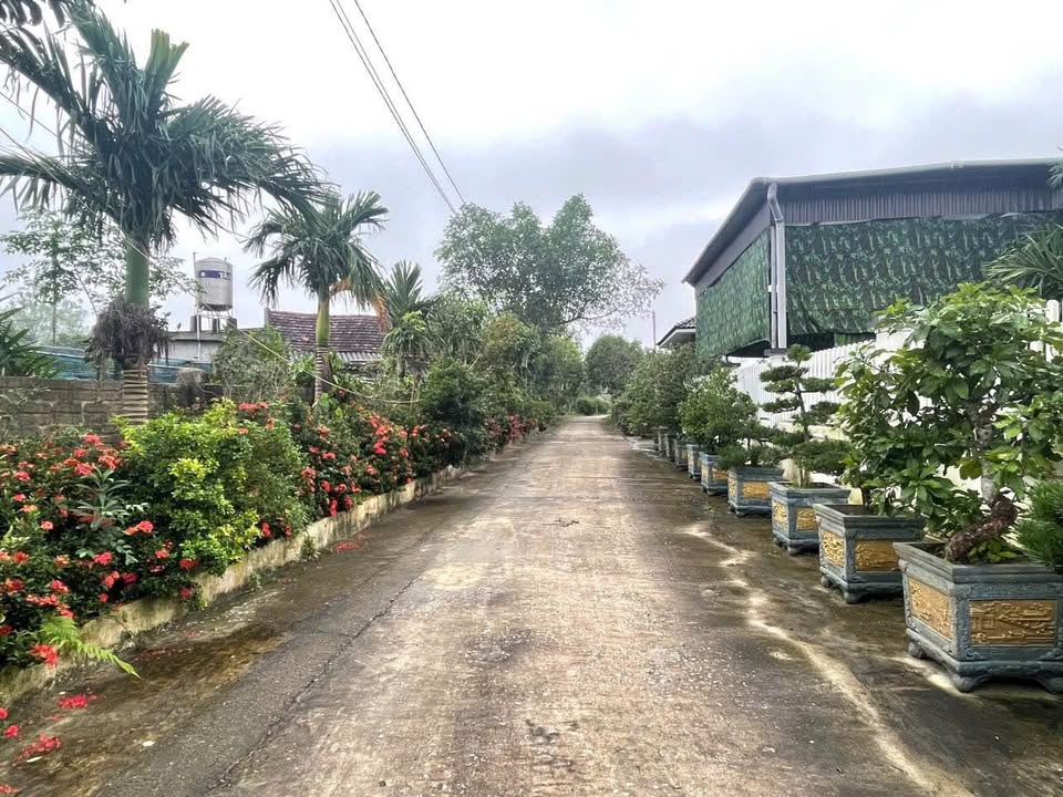 Đất nền góc 2 mặt tiền xóm Kim Chi, Nghi Ân 100m² - Vị trí đắc địa, giá thỏa thuận!