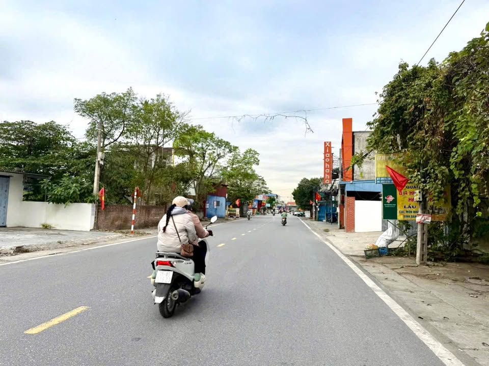 Đất mặt đường 208, xã Bắc Sơn, An Dương, 152m² - Kinh doanh mọi mặt hàng