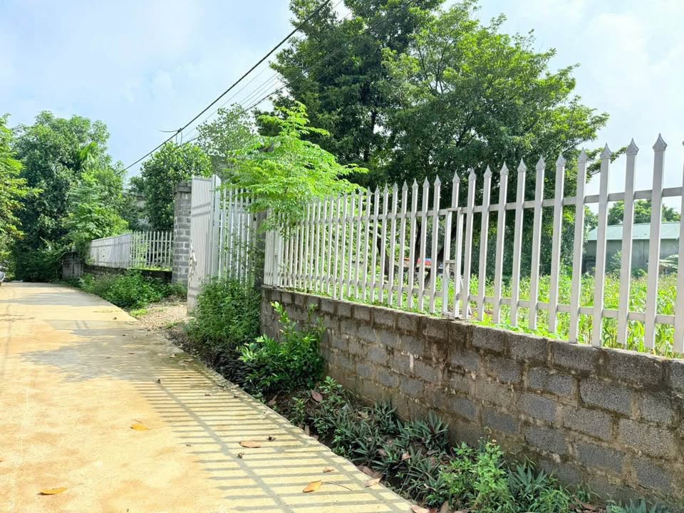 Đất nền 1.117m² Nhuận Trạch, Lương Sơn, Hoà Bình - Lô góc 2 mặt tiền, đầu tư sinh lời!