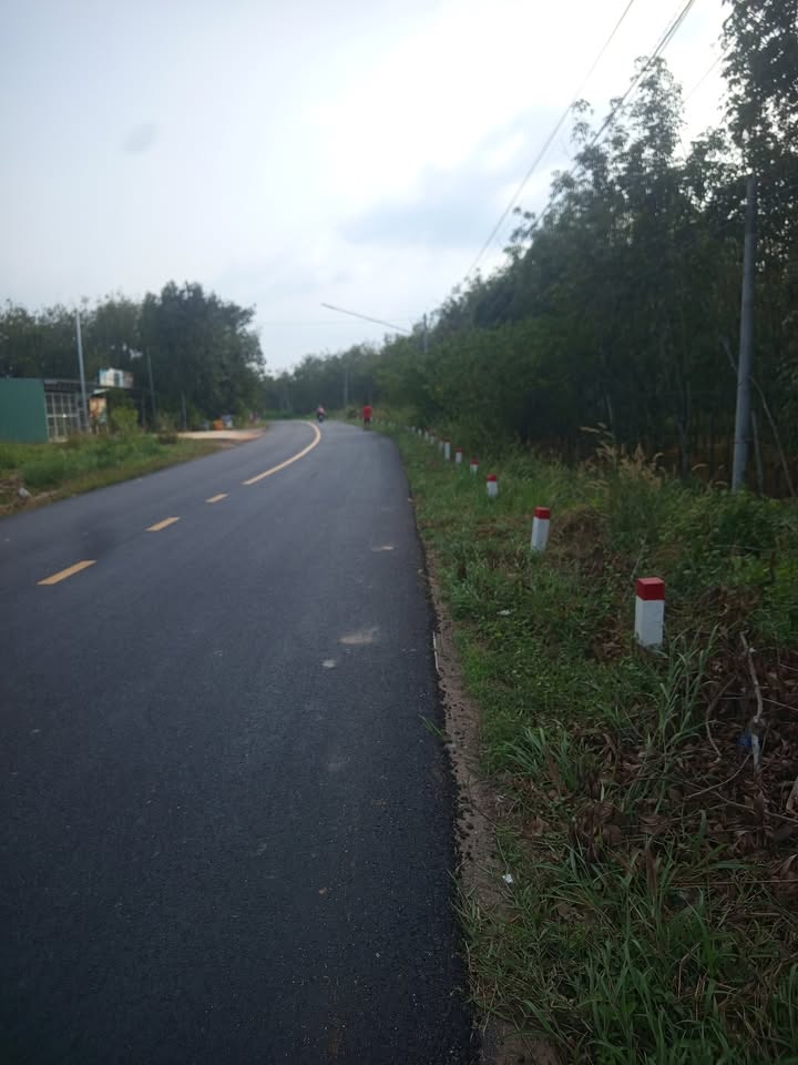 Đất nền 6000m² ĐT748 Định Hiệp Dầu Tiếng giá 7.26 tỷ - Cơ hội đầu tư hấp dẫn!