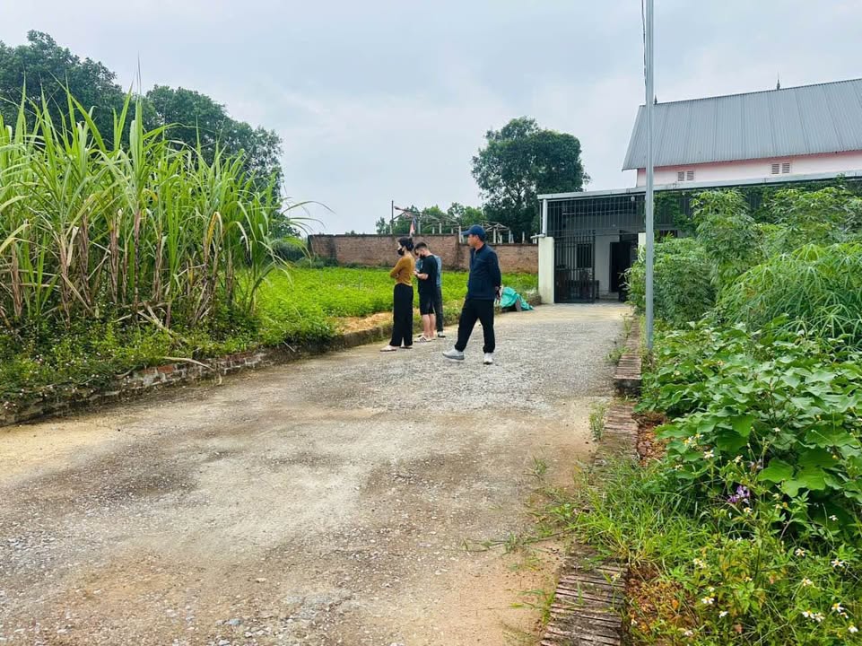 Đất nền Vạn Phái, Phổ Yên 135m² giá thỏa thuận - Mặt tiền 6m, gần chợ và trường học!