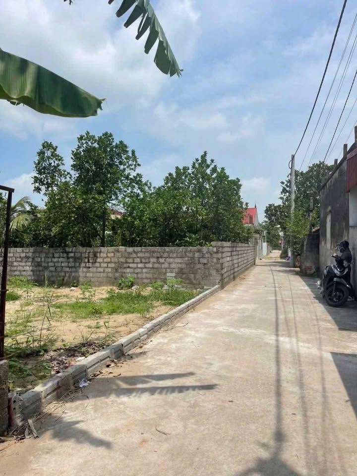 Đất nền Quang Trung, Phú Xuyên 150m² giá 3 tỷ - Cơ hội đầu tư hiếm có!