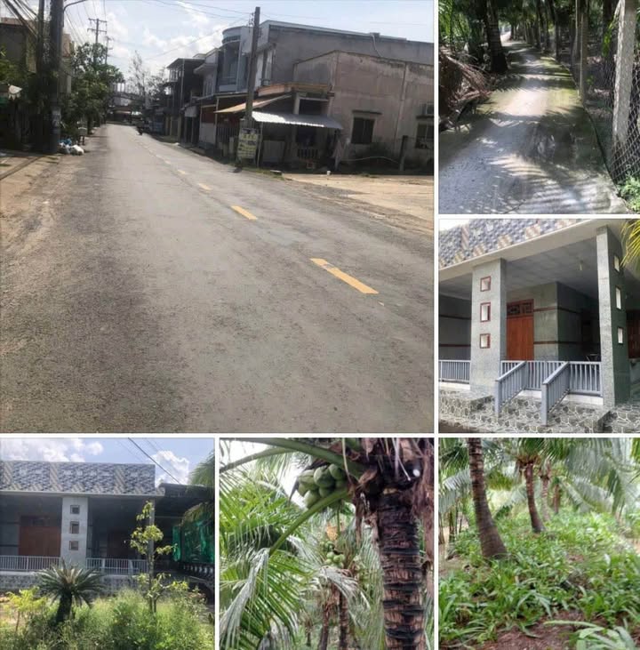 Nhà đất Lương Quới, Giồng Trôm 3200m² giá 2.5 tỷ - Tiềm năng đầu tư tuyệt vời!