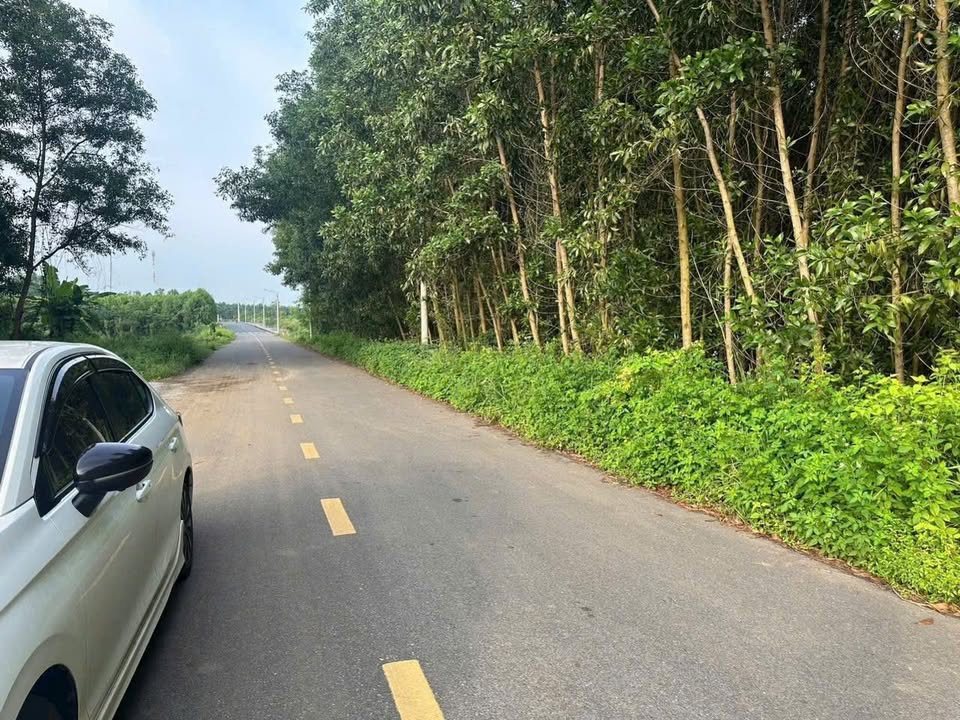 Đất nền Phước Long Thọ 150m² giá 950 triệu - Đầu tư sinh lời ngay!