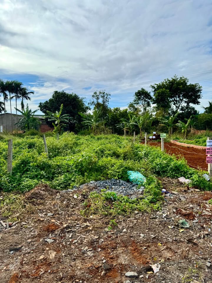 Mặt tiền kinh doanh Tân An, Buôn Ma Thuột 124.14m² giá 1.85 tỷ - Đầu tư sinh lời ngay!