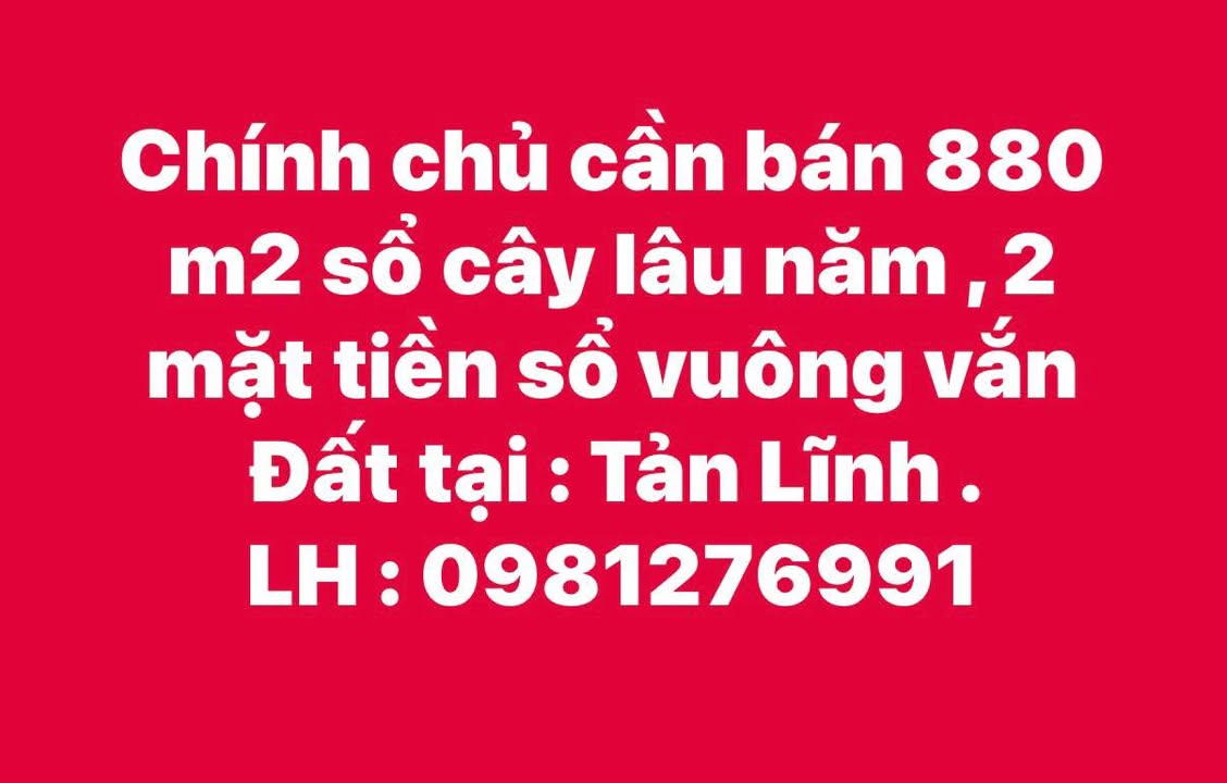 Đất nền Tản Lĩnh, Ba Vì 880m² - Sổ cây lâu năm, giá thỏa thuận!