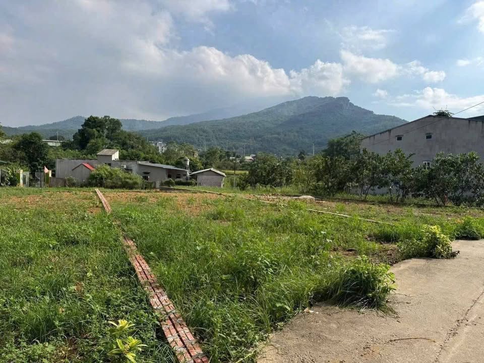 Đất thổ cư 154m² tại Thôn 8, xã Suối Hai - Chỉ 1,1 tỷ, view núi tuyệt đẹp!