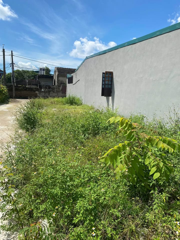 Đất nền Ninh Sơn, Hoa Lư 50m² giá 1.1 tỷ - Vị trí lý tưởng để xây dựng!