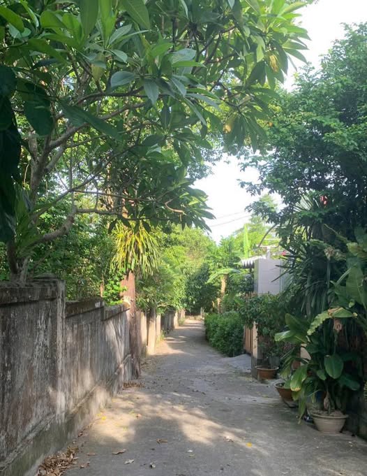 Đất nền Trần Thái Tông, Thủy Xuân 72m² giá 1.55 tỷ - Cách đường chính chỉ 100m!