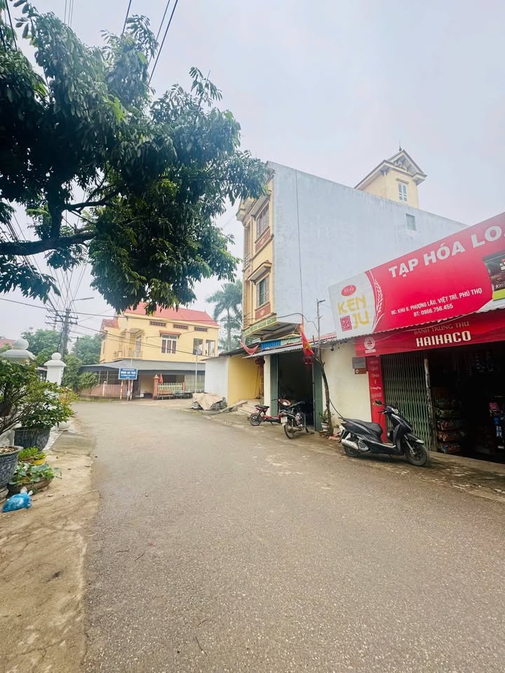 Đất nền phường Vân Phú, TP Việt Trì 117m² giá 1.6 tỷ - Thế đất đẹp, đầu tư sinh lời!