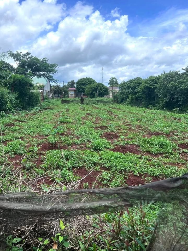 Đất nền xã Ia Hrú, Gia Lai 576m² giá 576 triệu - Đầu tư sinh lời ngay!