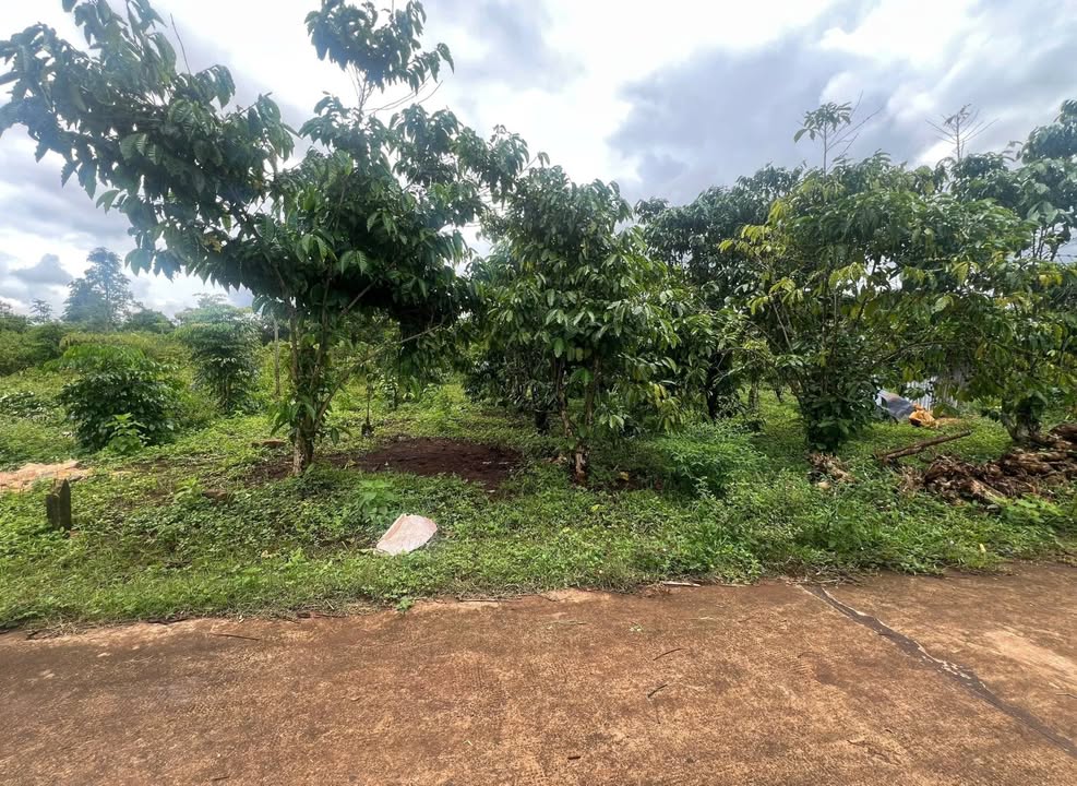 Đất nền xã Trà Đa, Pleiku 600m² giá 660 triệu - Cơ hội đầu tư tuyệt vời!