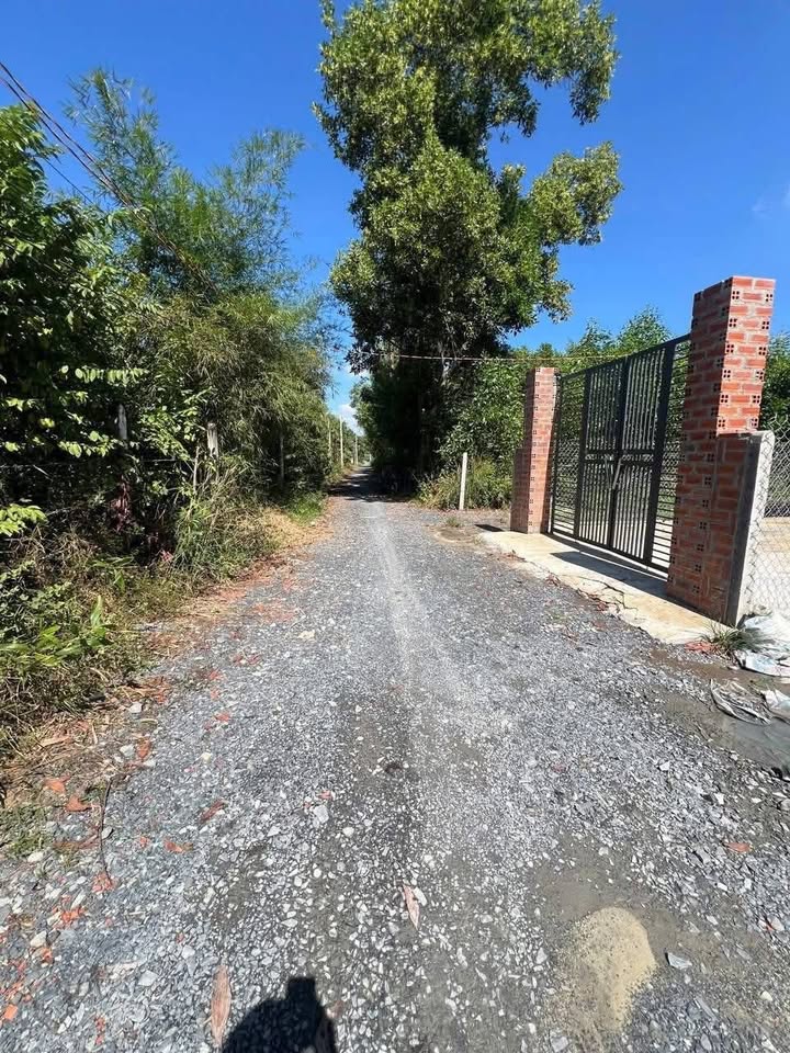 Đất thổ cư 148m² tại Khu Phố Thanh Hòa, Tây Ninh giá chỉ 340 triệu - Cơ hội vàng cho đầu tư!