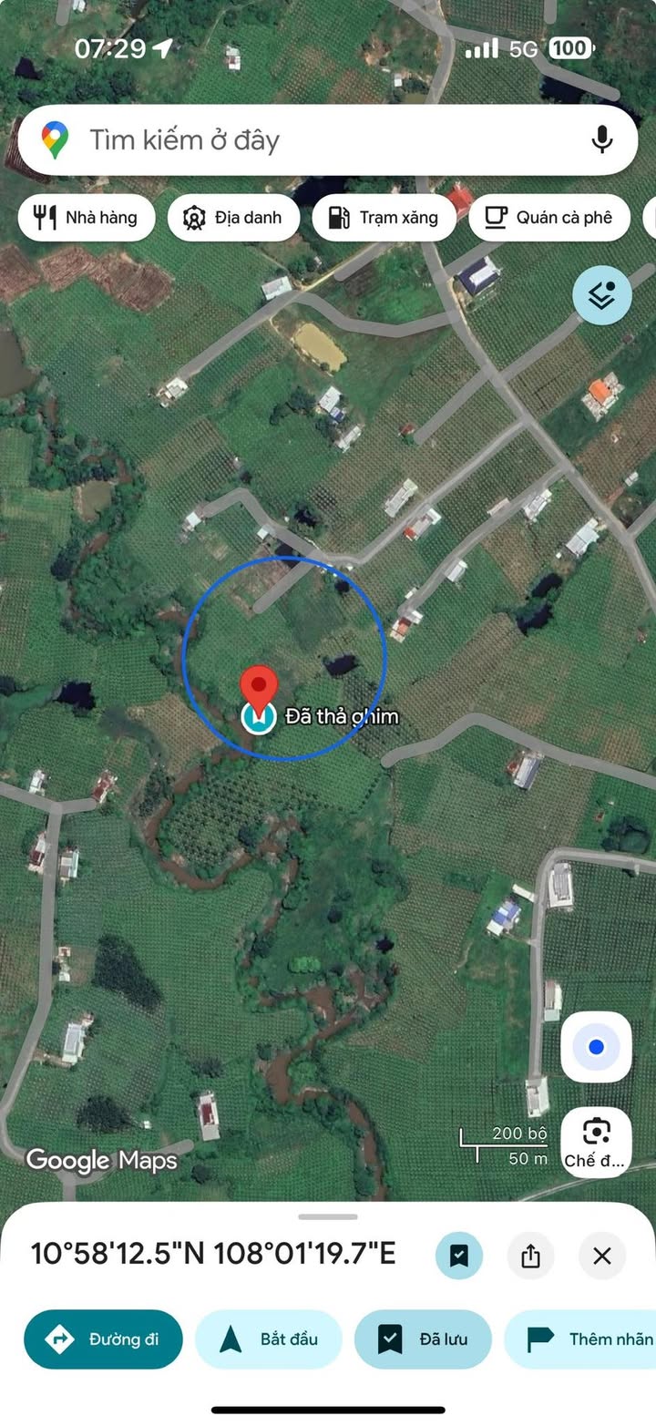 Đất farm 5 sào view suối Phú Nhang Hàm Hiệp giá 300 triệu - Đầu tư sinh lời ngay!