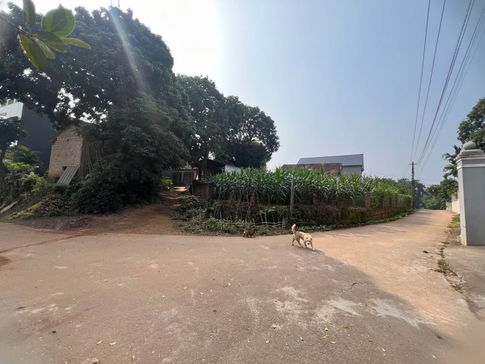 Đất nền khu 7 Phượng Lâu - Vân Phú, Việt Trì 91m² giá 1.45 tỷ - Cơ hội đầu tư tuyệt vời!