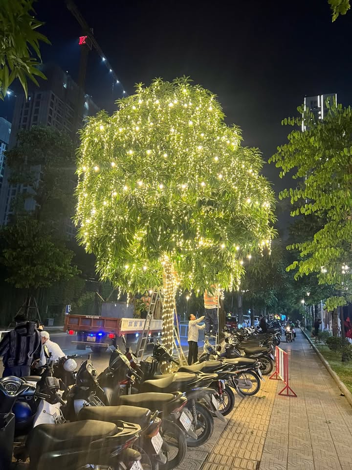 Shophouse cho thuê tại Parking Zone 4, Tây Mỗ - Diện tích từ 45m², chỉ 10 triệu/tháng!