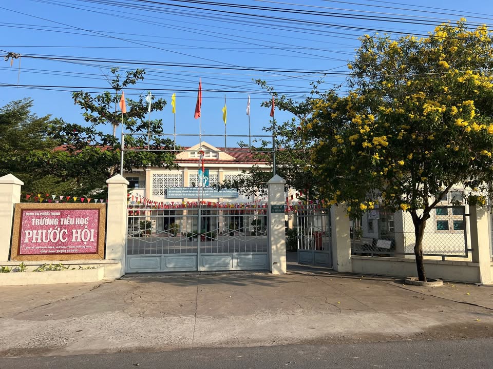 Đất thổ cư Phước Hội, Gò Dầu 308m² giá chỉ 800 triệu - Sổ hồng riêng