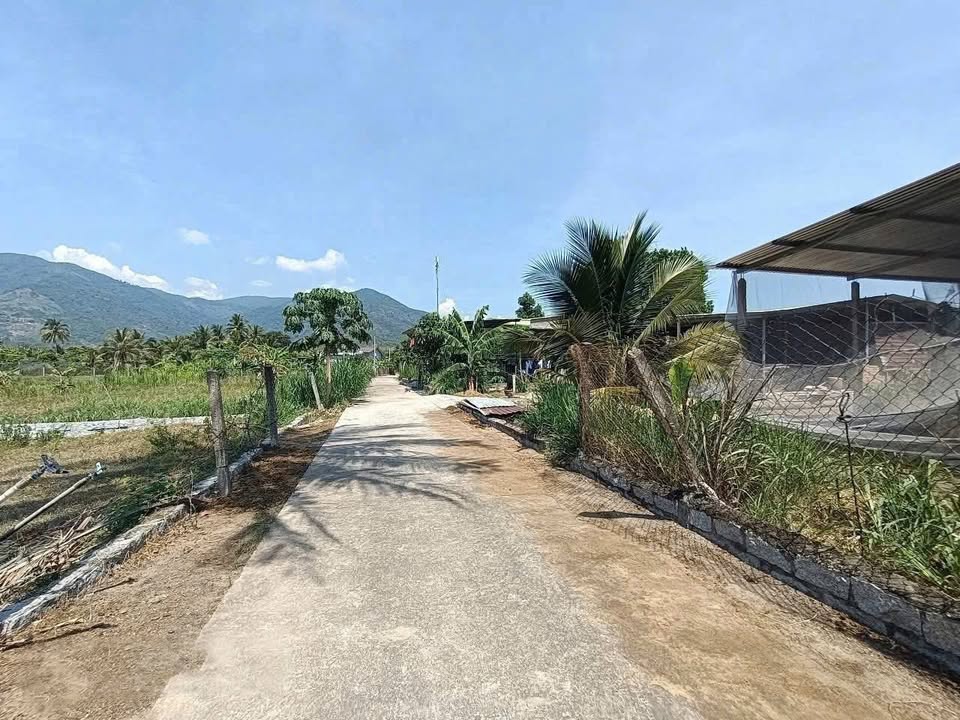 Đất nền Suối Tiên, Diên Khánh 73.3m² giá 480 triệu - Đầu tư sinh lời ngay!